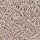 Horizon Carpet: Earthly Details I Alpine Lace